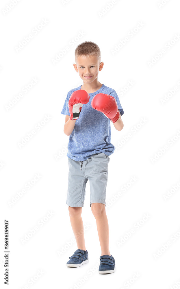 Cute little boxer on white background Cute little boxer on white background