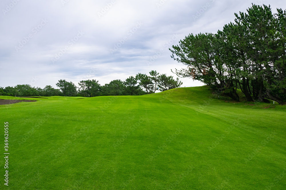 View of Golf Course with fairway field. Golf course with a rich green turf beautiful scenery.	