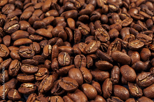 Roasted coffee beans background. Pacamara - sort of arabica photo