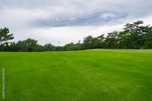 Golf Course with beautiful green field. Golf course with a rich green turf beautiful scenery. © okimo