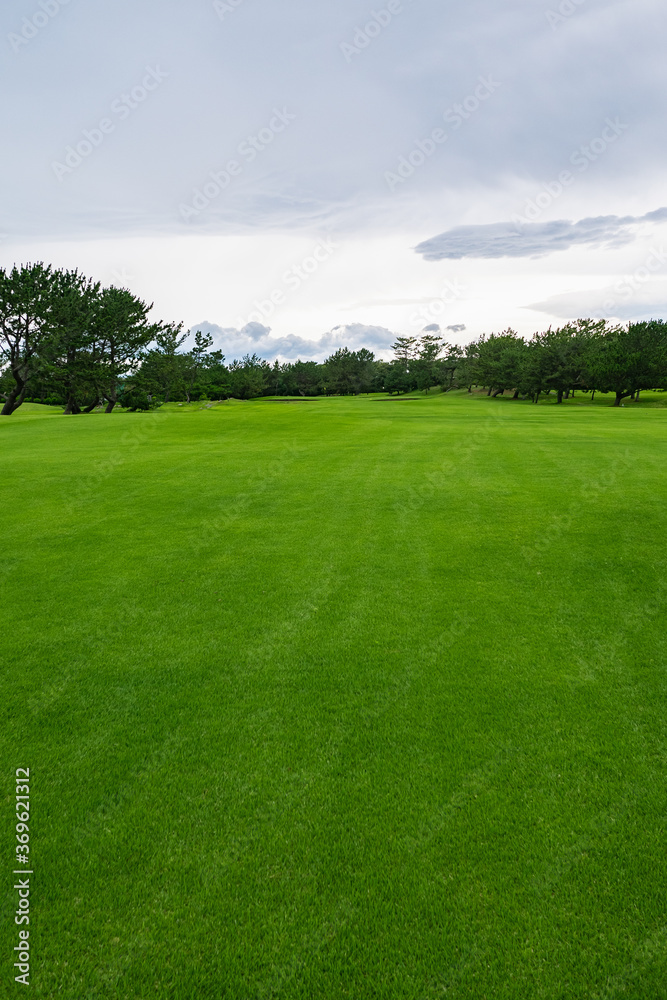 Golf Course with beautiful green field. Golf course with a rich green turf beautiful scenery. Golf Course with beautiful green field. Golf course with a rich green turf beautiful scenery.