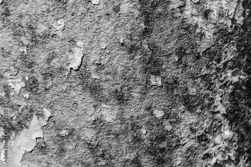 evocative black and white image of texture of rusty steel plate