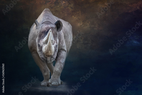 artistic view of a rhino walking before a dark background