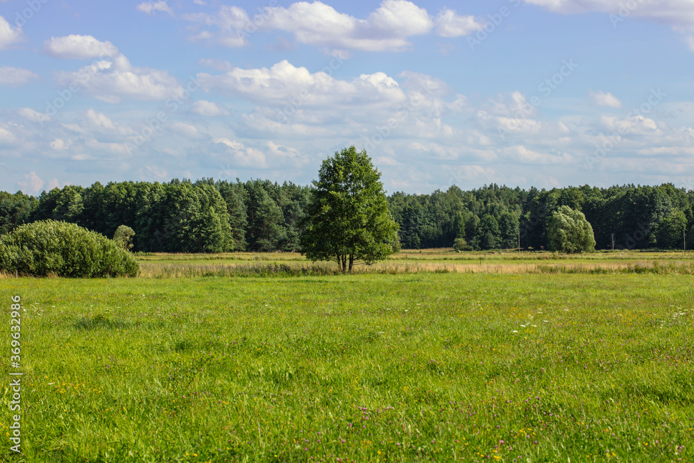 beautiful view of the natural landscape beautiful view of the natural landscape