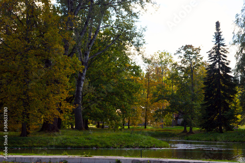 park in autumn