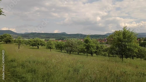Wallpaper Mural dramatic drone shot revealing the village Nehren through apple trees in Germany. Torontodigital.ca