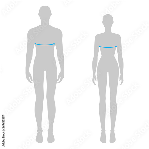 Women and men to do bust measurement fashion Illustration for size chart. 7.5 head size girl and boy for site or online shop. Human body infographic template for clothes. 