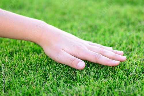 Beautiful green grass. The hand of the child touches the grass. Back to nature, love earth. Environment concept. © zhinna