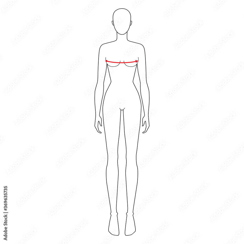 Women to do bust measurement fashion Illustration for size chart. 7.5 head size girl for site or online shop. Human body infographic template for clothes. Women to do bust measurement fashion Illustration for size chart. 7.5 head size girl for site or online shop. Human body infographic template for clothes.