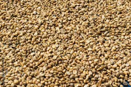 raw coffee beans background