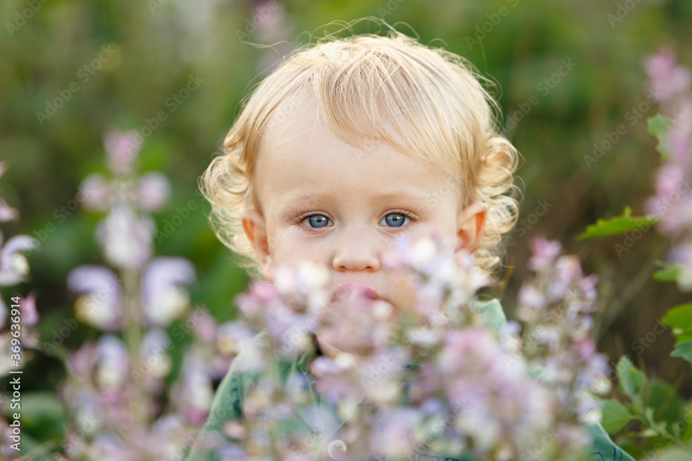 A cute little boy in a lavender field. Happy family leisure outdoors. A cute little boy in a lavender field. Happy family leisure outdoors.