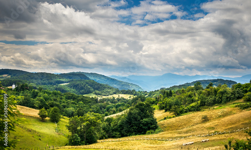 Beautiful hills, forest and meadows on Golija mountain in Serbia