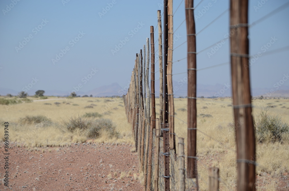 Obraz premium fence in the desert