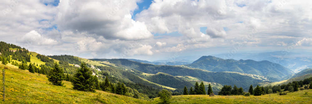 Obraz premium Beautiful hills, forest and meadows on Golija mountain in Serbia