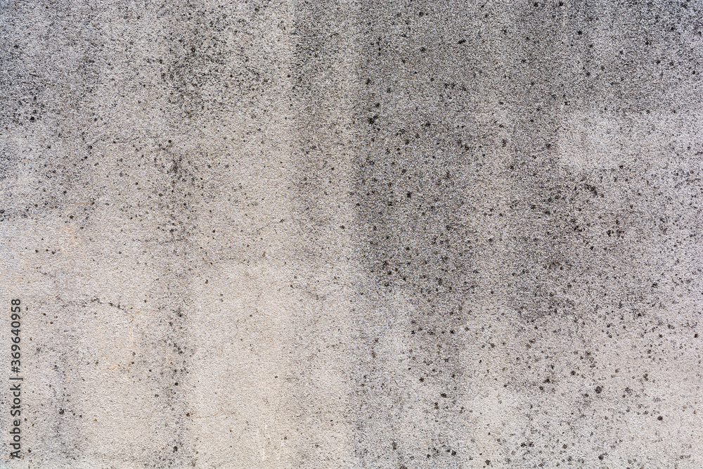 Naklejka premium Concrete wall moss texture blank natural surface architecture wall