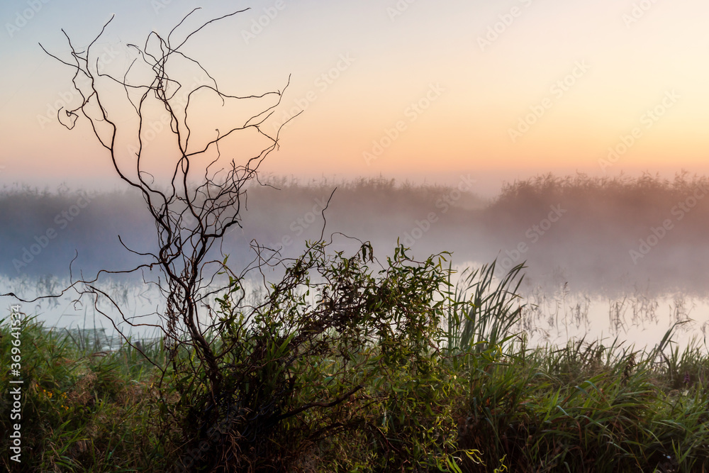 Piękny poranek z mgłami w Dolinie Narwi. Rzeka Narew, Podlasie, Polska Piękny poranek z mgłami w Dolinie Narwi. Rzeka Narew, Podlasie, Polska