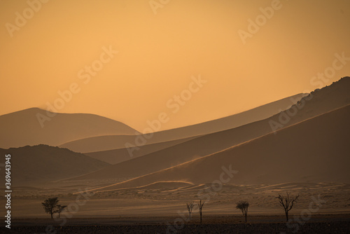 Dunes of Namib Desert