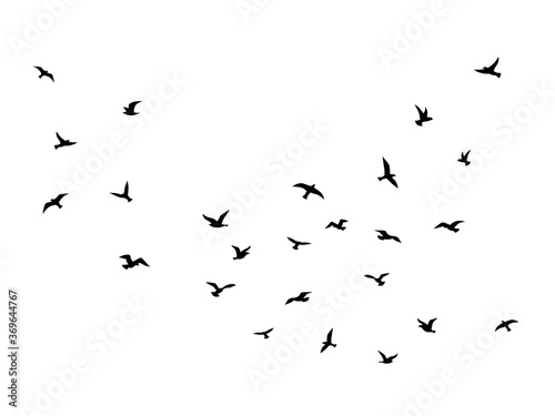 Flying bird. Flock of birds black silhouettes, abstract flight migration animal wildlife, simple seagull shapes decorative element vector isolated illustration