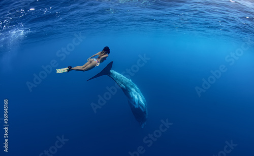 Underwater shot of a Fit sport girl swimming and diving with sperm whale in deep blue ocean water, The sperm whale or cachalot (Physeter macrocephalus)