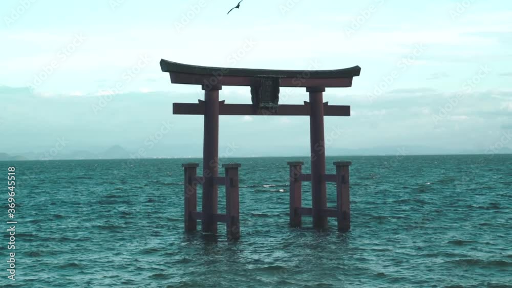 Seagulls Flying Around The Famous Torii Gate In The Biwako Lake At The Shirahige Jinja Shrine In Shiga, Japan. - wide shot Seagulls Flying Around The Famous Torii Gate In The Biwako Lake At The Shirahige Jinja Shrine In Shiga, Japan. - wide shot