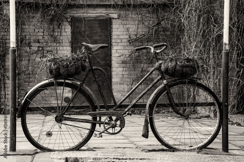 Retro Bicycle Parking. A rusty shabby bicycle . Retro Bicycle Parking. A rusty shabby bicycle .