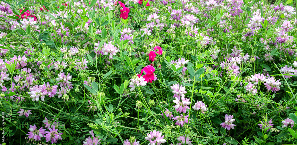 Floral background Floral background