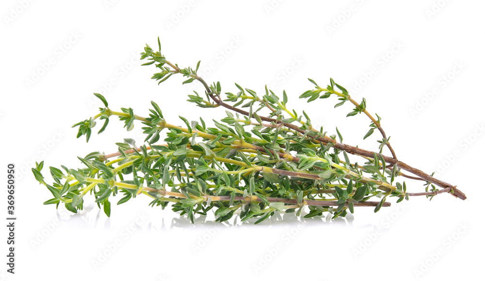 Thyme sprigs isolated on a white background Thyme sprigs isolated on a white background