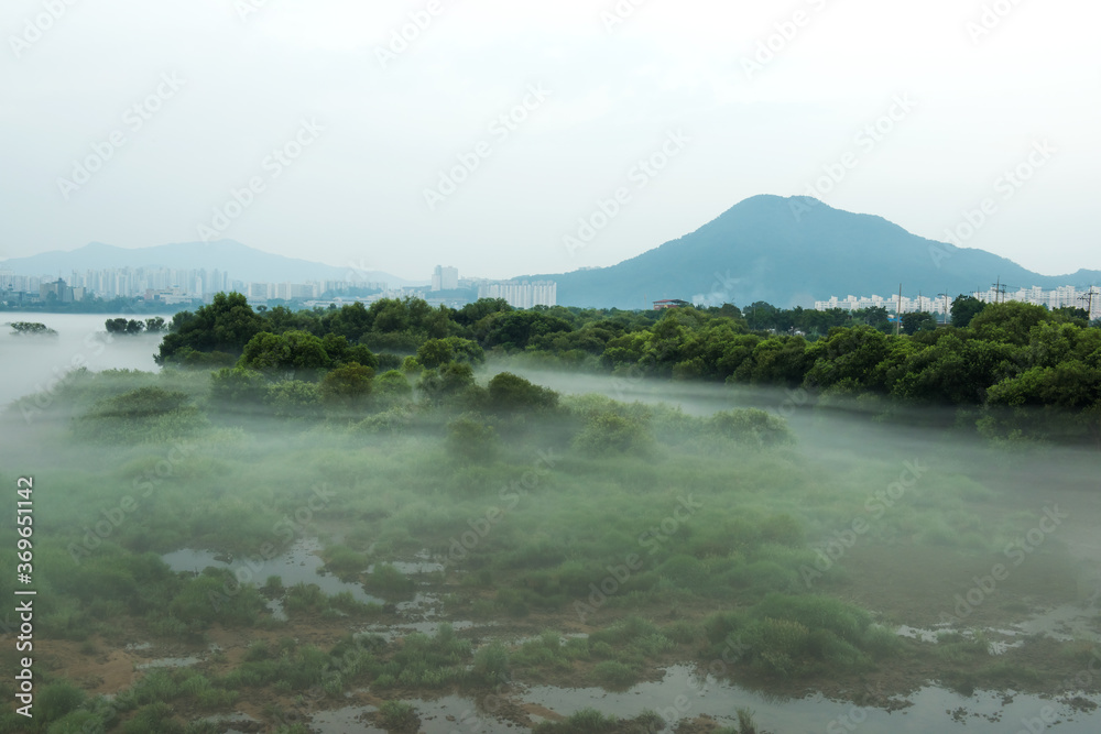 Fantastic landscape of foggy and mist riveside 