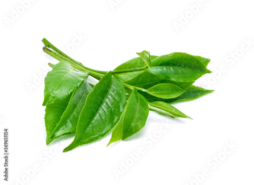 Wet Green tea leaves isolated on white background