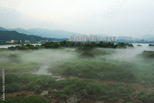 Fantastic landscape of foggy and mist riveside  photo