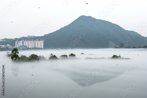 Fantastic landscape of foggy and mist riveside  photo