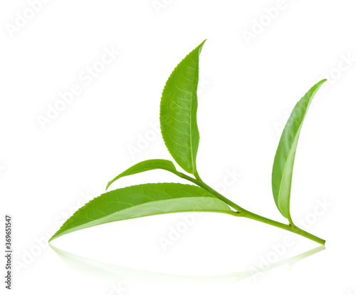 Green tea leaf isolated on white background