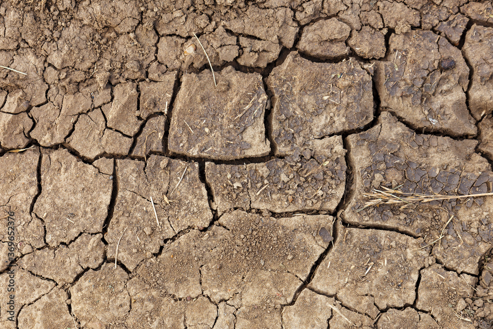 Dry cracked earth. Background and texture of the earth. Dry cracked earth. Background and texture of the earth.