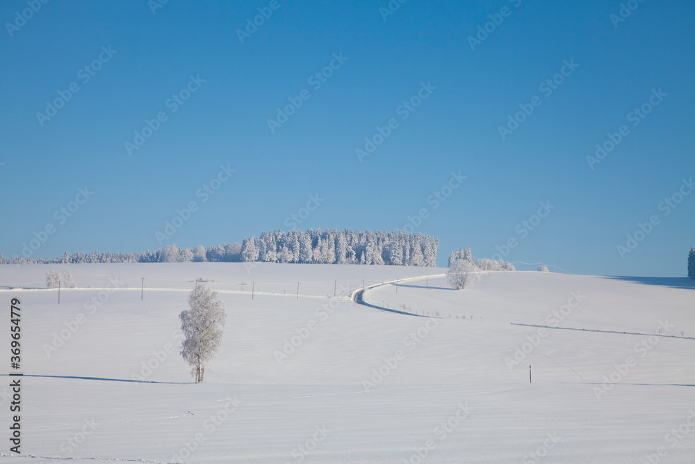 Schneelandschaft im Winter