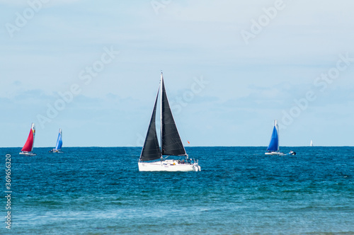 Barco Velero navegando en la bahia