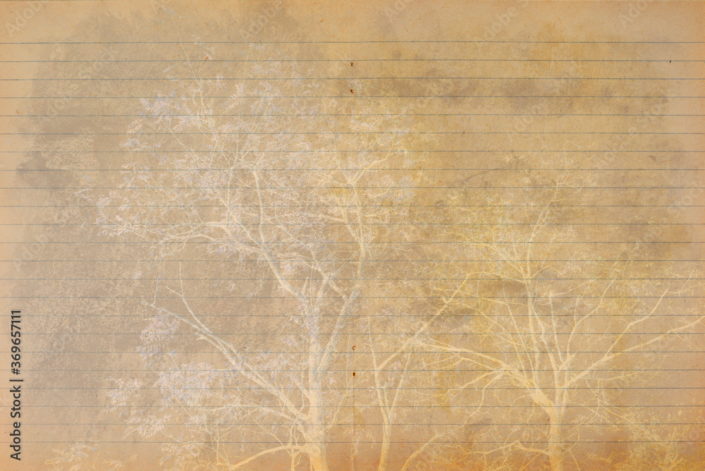 Fototapeta premium Grunge old page from notebook background