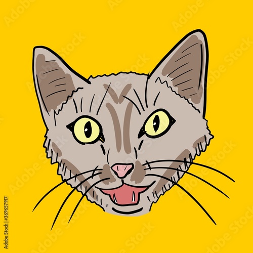Cat portrait