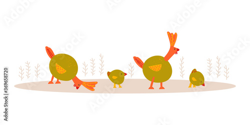 Cartoon illustation with chicken and rooster on white background. Domestic fowl in flat style. Vector characters for cards, t-shirt prints, fabric design