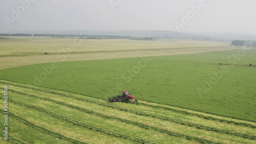 Combine harvester working in field, harvesting feed crop. Combine mechanically cutting dry fresh crop and tractor combines mowed crop in line, furrows for further collection.