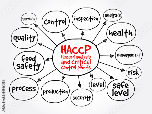 HACCP - Hazard analysis and critical control points mind map, health concept for presentations and reports