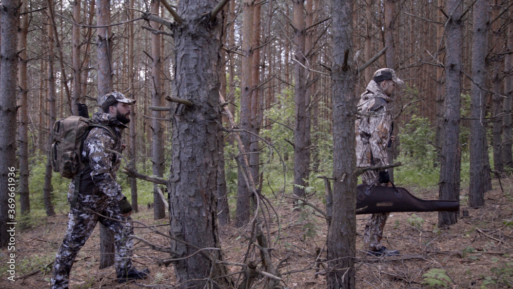 Two hunter men in camouflage clothes with guns walking through forest during hunting season. Man hunter outdoor in forest hunting. Hunters hunt down prey and follow trail of animals