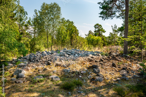 Summer view of a mountain forest plateau at an old ancient open burial ground with stones and plants in Sweden.