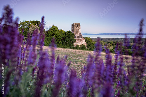 Sunset over the medieval ru...