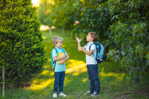 two happy schoolboy boys having fun on a walk in the park and throwing an apple