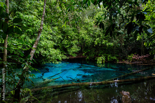 Blue or emerald pool in National park Sa Morakot  Krabi  Thailand.