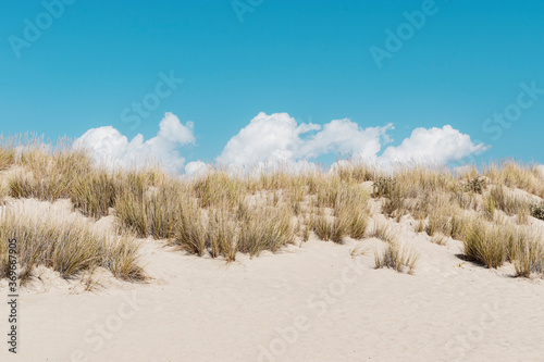 The dunes in Elafonisos island come with a nice view of the Greek blue sky.