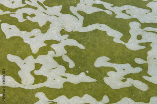  green water and white foam on it in the form of camouflage
