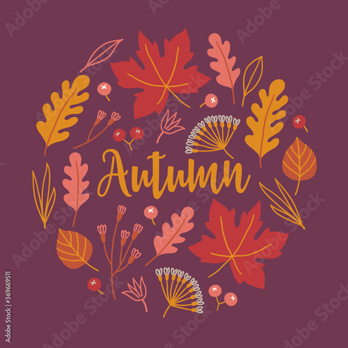 Autumn greeting card with oak and maple leaves, flowers, rowanberry