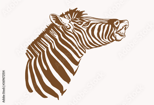Vector vintage illustration of zebra portrait , sepia background, savanna animal