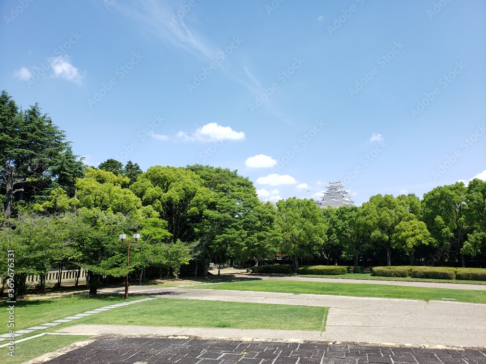 Fototapeta premium Zieleń i park